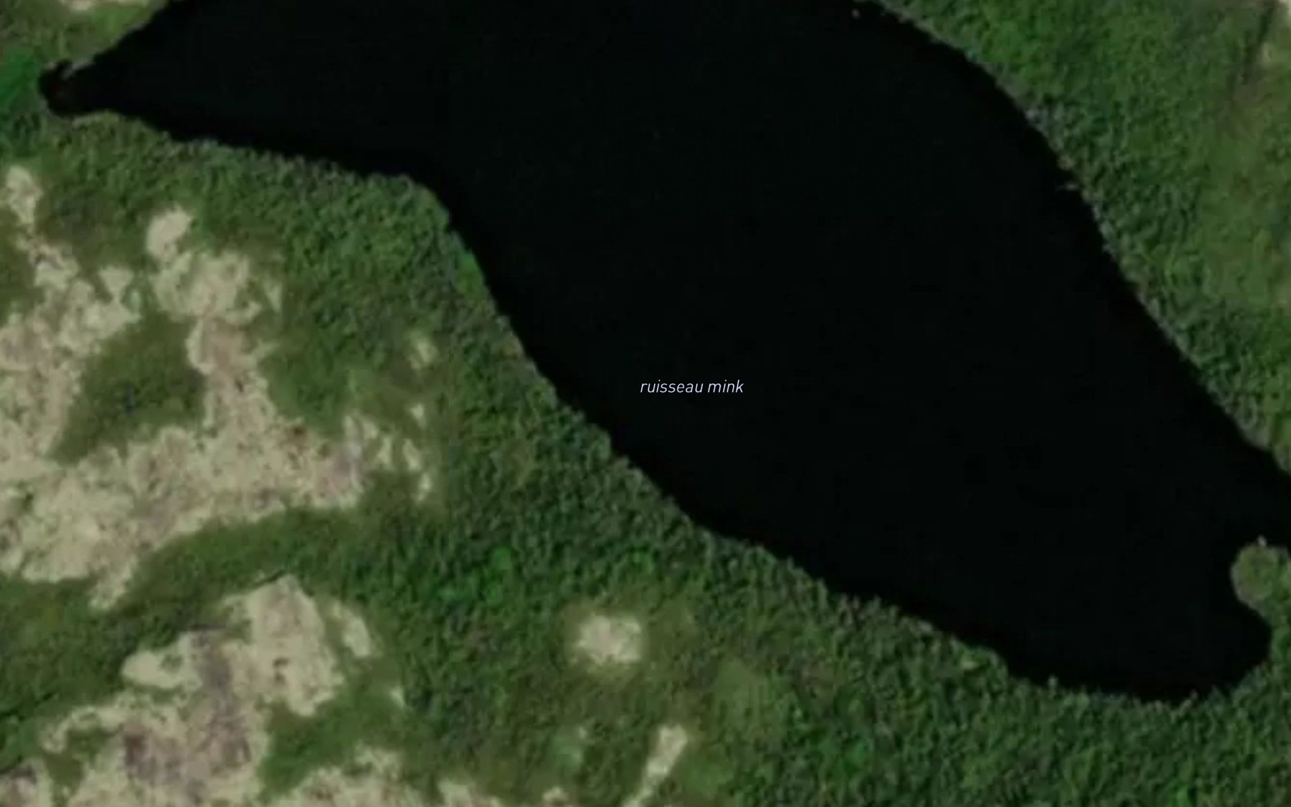 Lac Mink