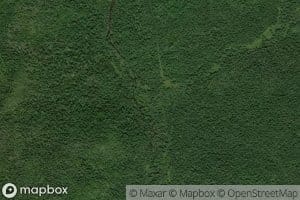 Bol'shaya Gruzdyanka