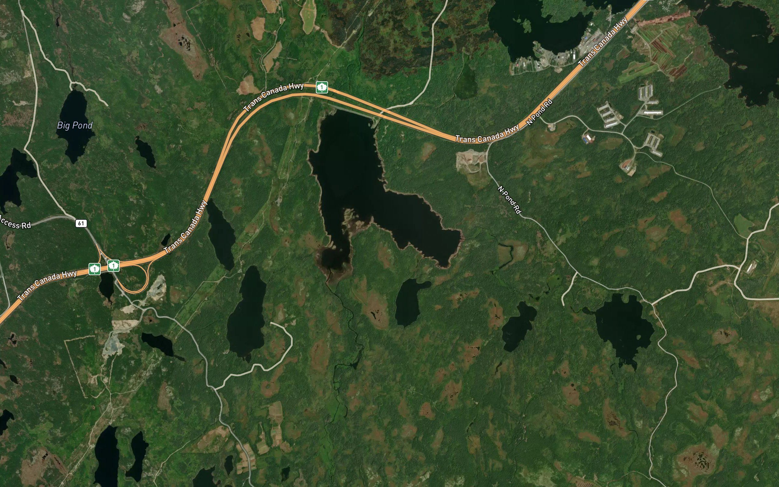 Loo Pond