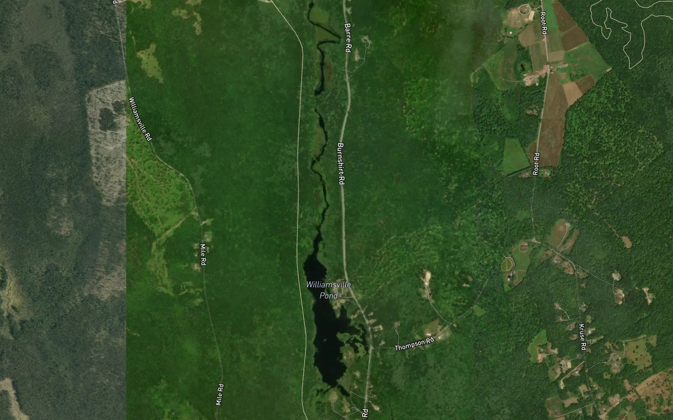 Williamsville Pond