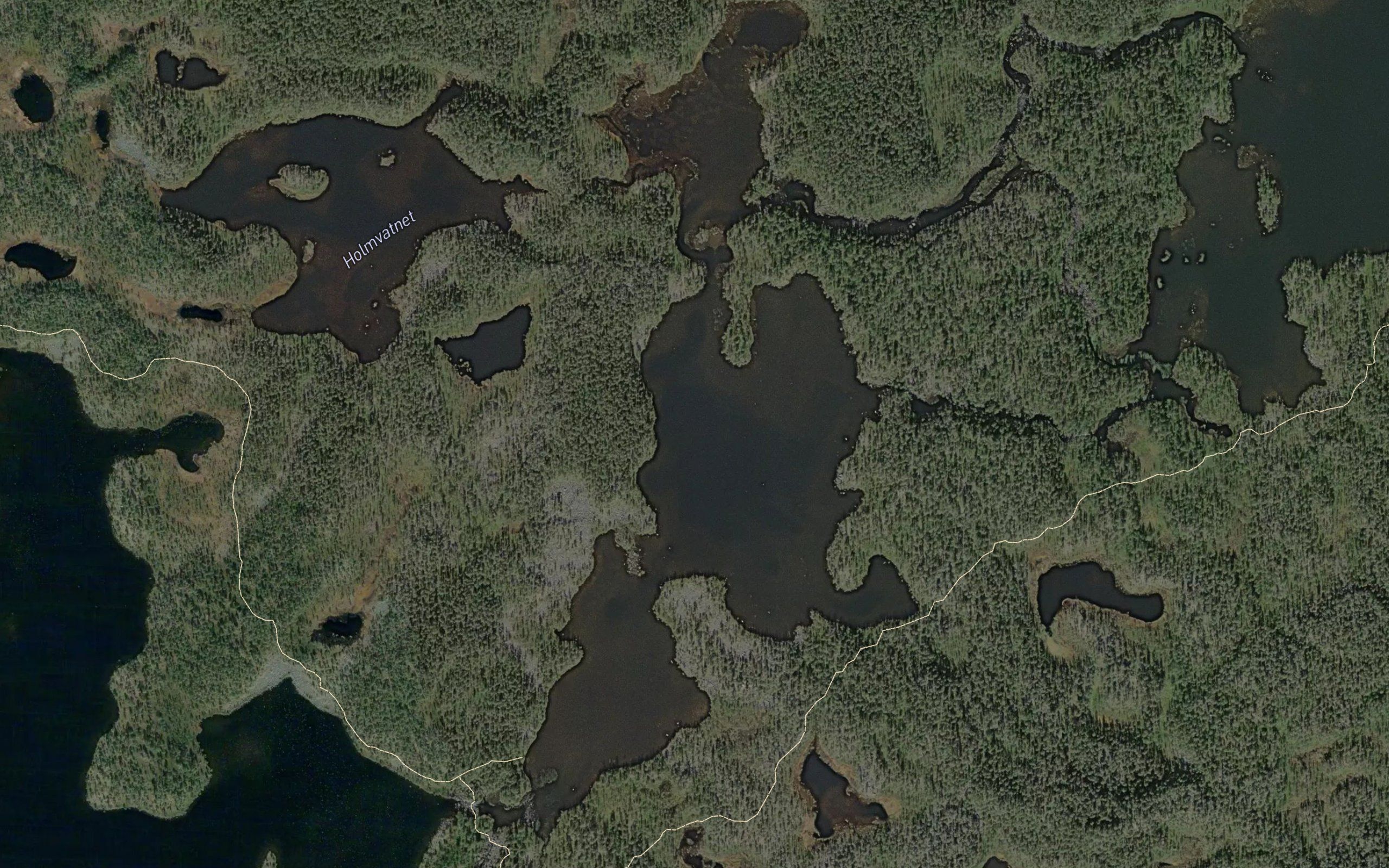 Torrfurutjonna