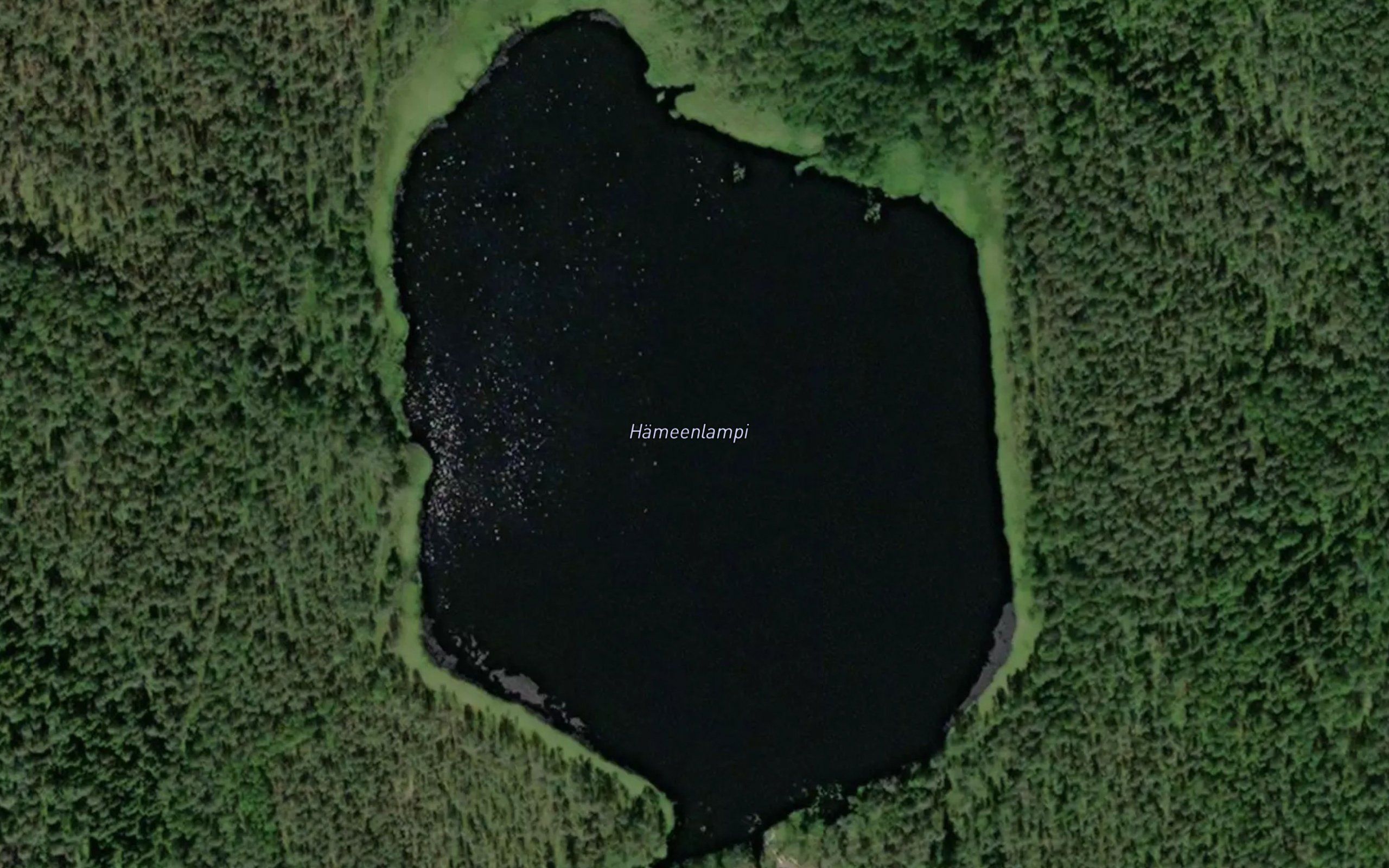 Hameenlampi