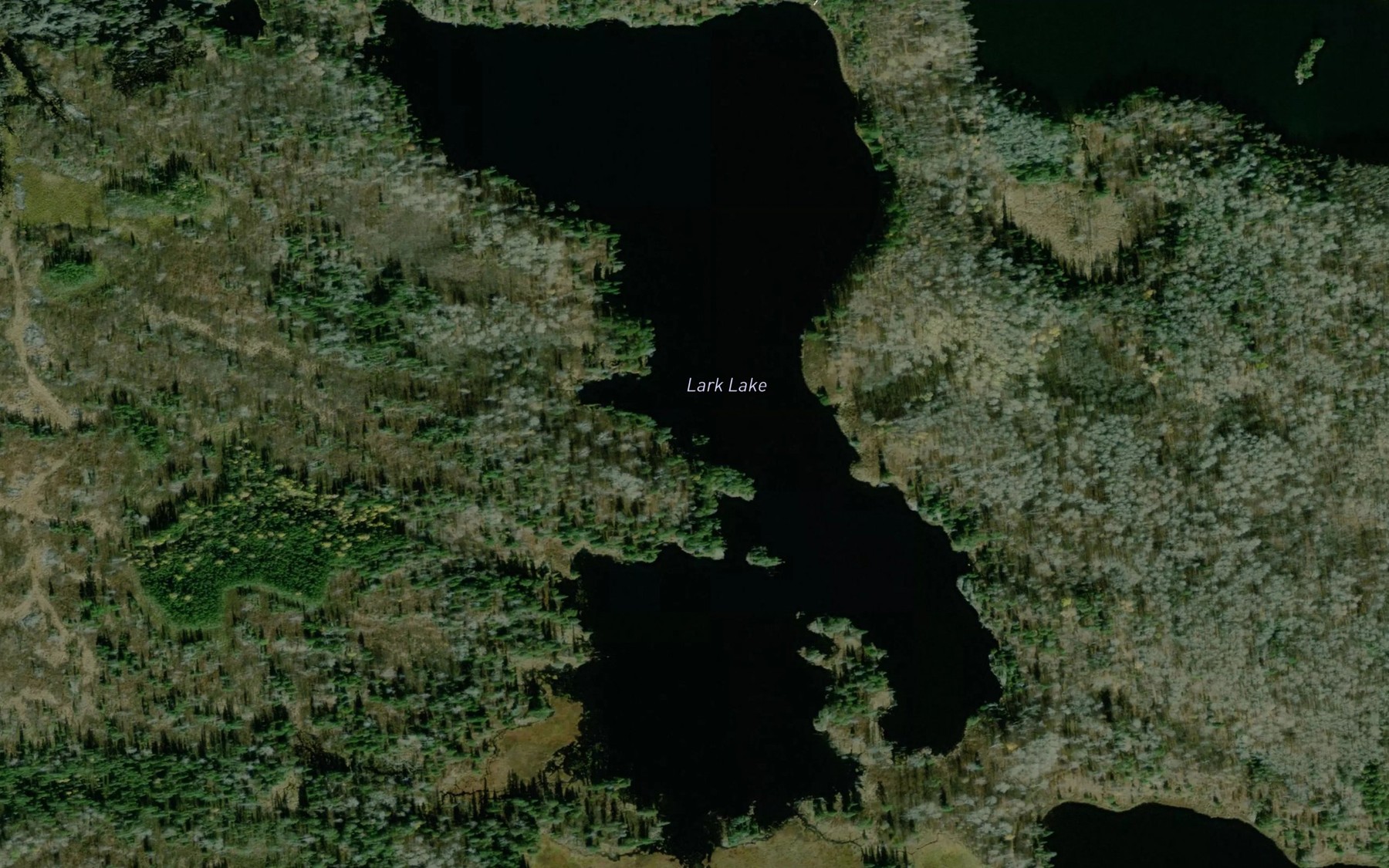 Satellite map of the Lark Lake