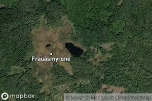 Frauastjernet