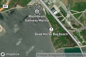 Dead Horse Bay