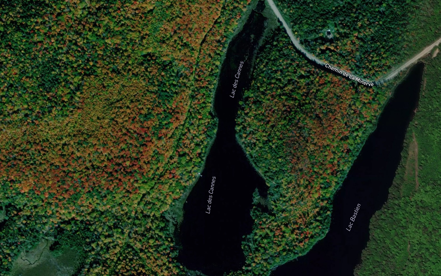 Satellite map of the Lac des Cannes