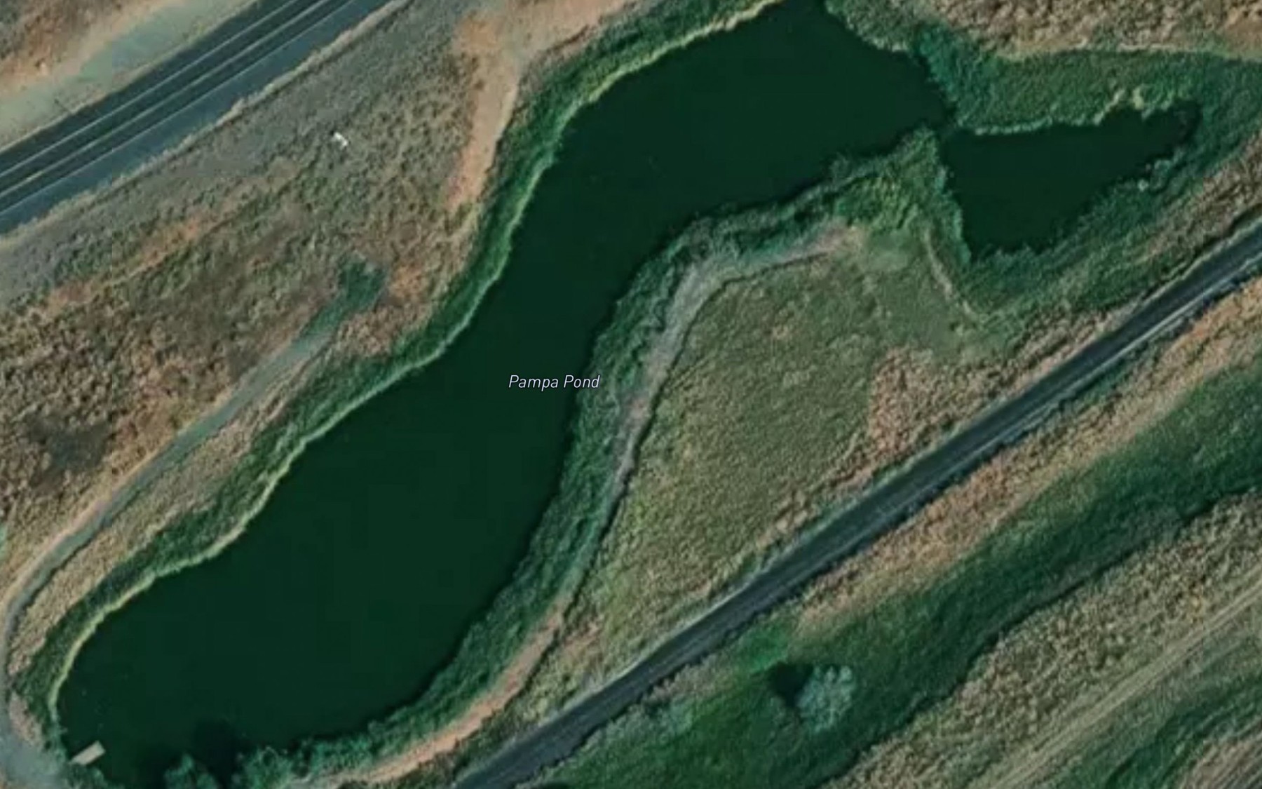 Satellite map of the Pampa Pond