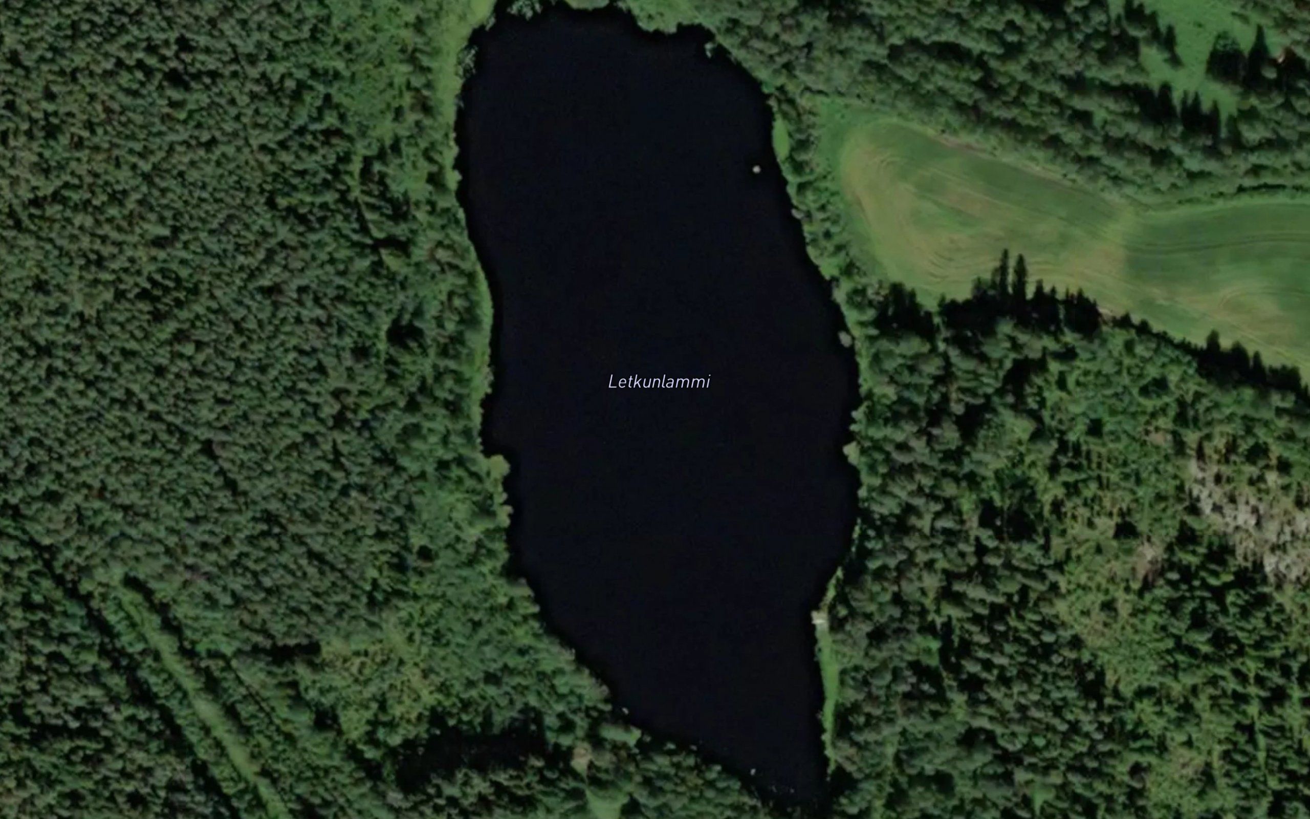 Letkunlammi