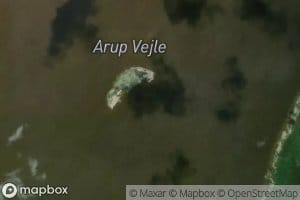 Arup Vejle