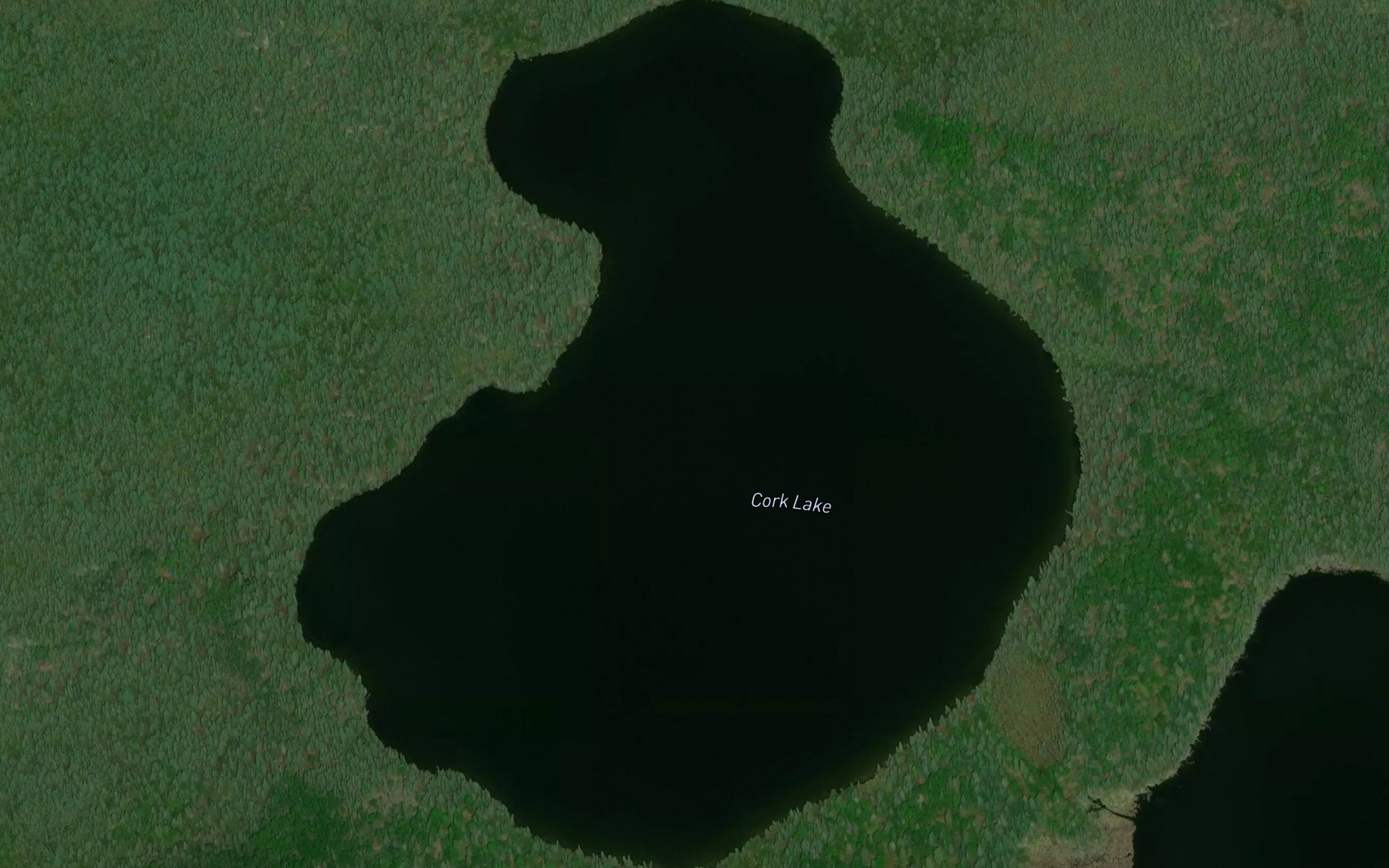 Satellite map of the Cork Lake