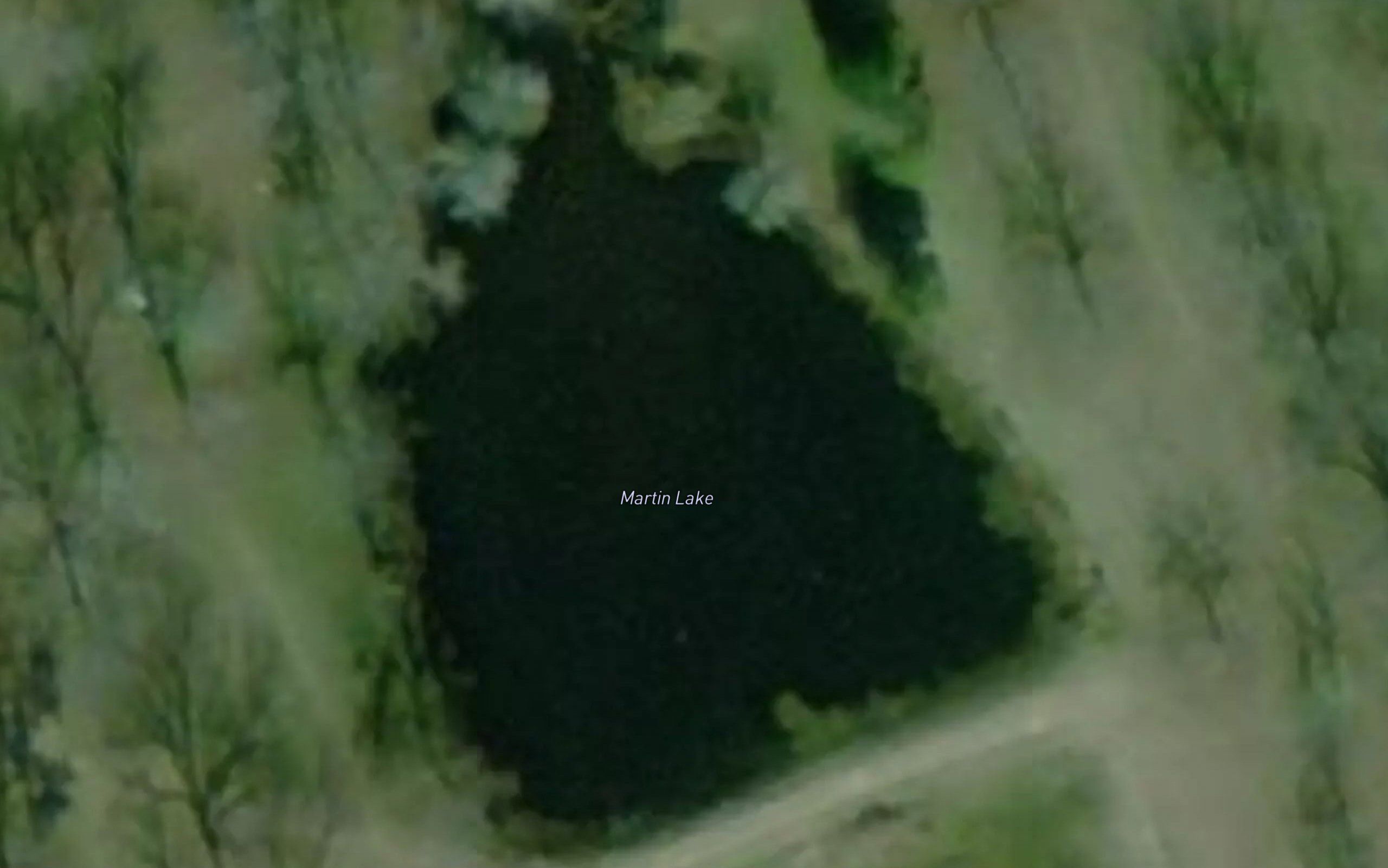 Martin Lake