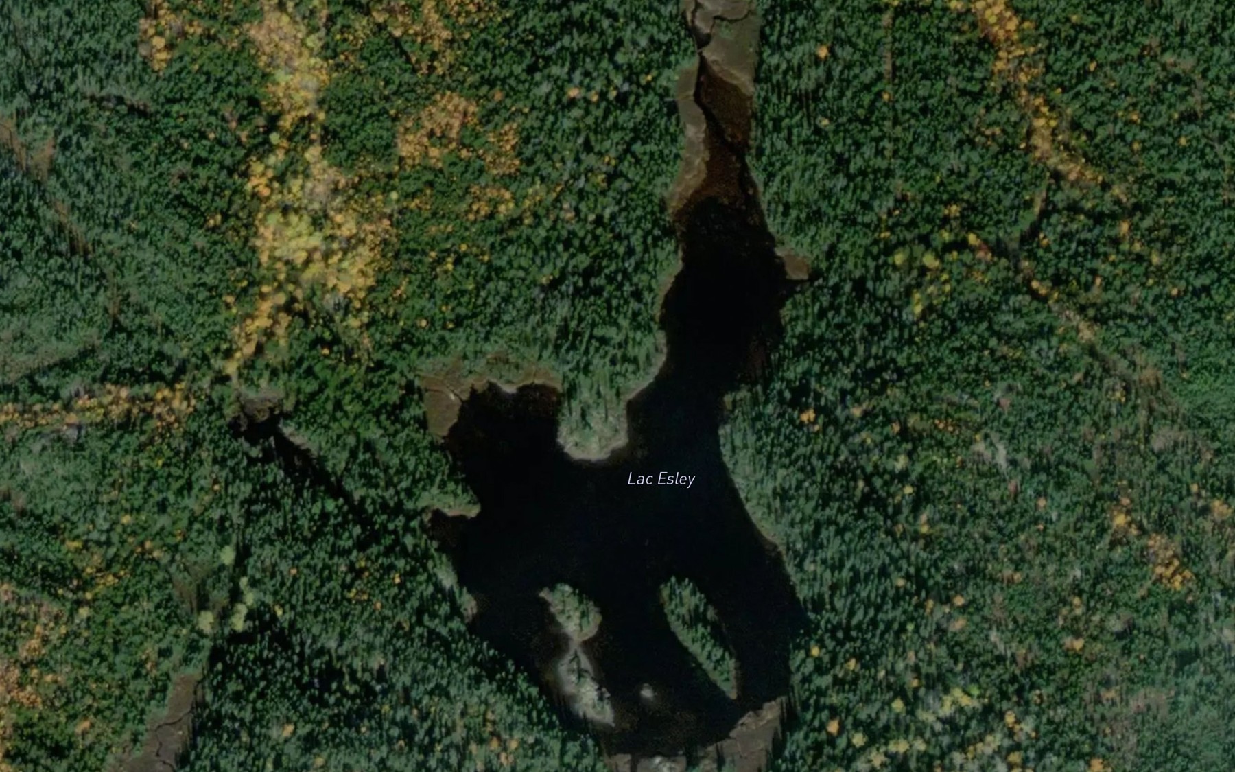 Satellite map of the Lac Esley