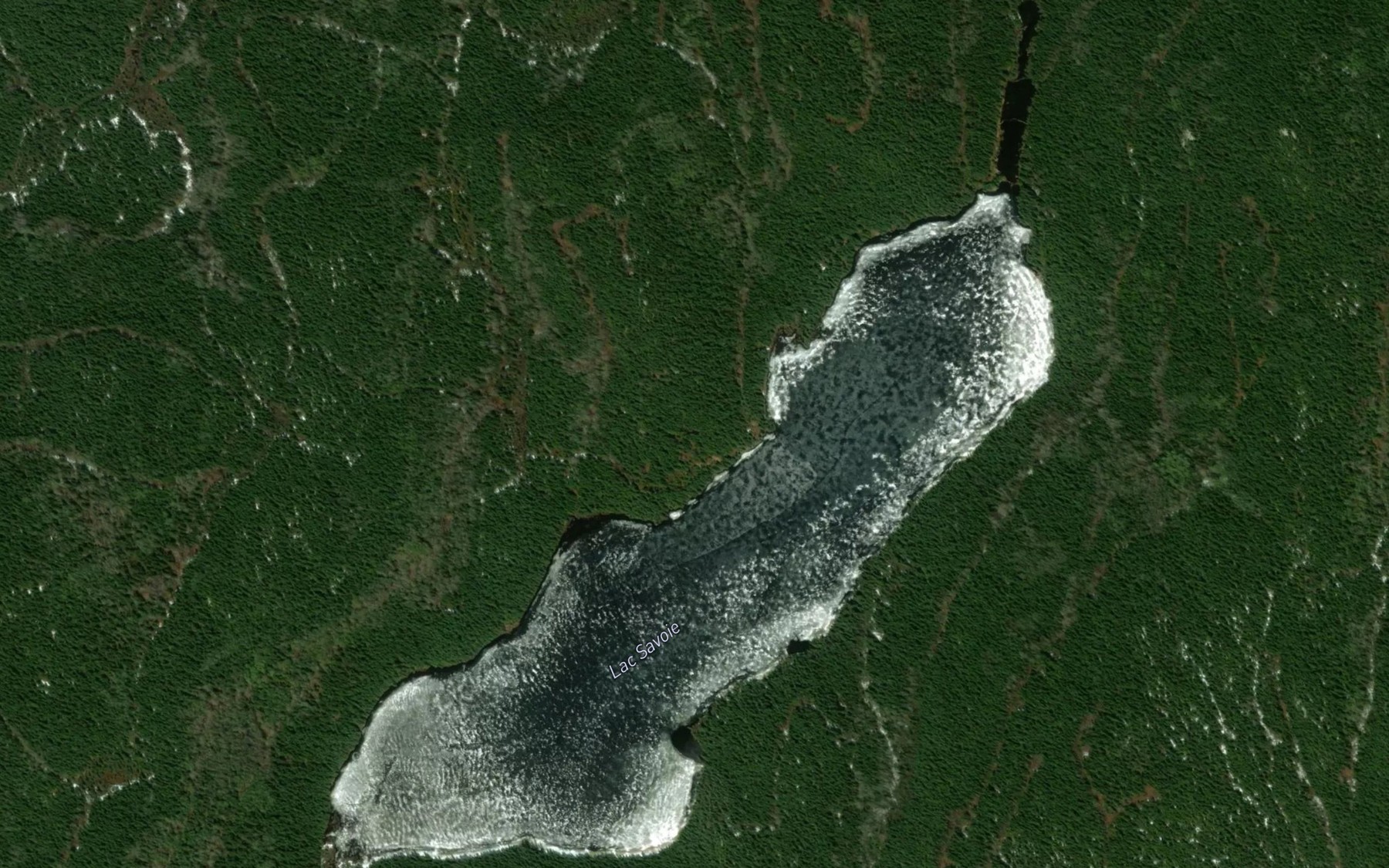 Satellite map of the Lac Savoie