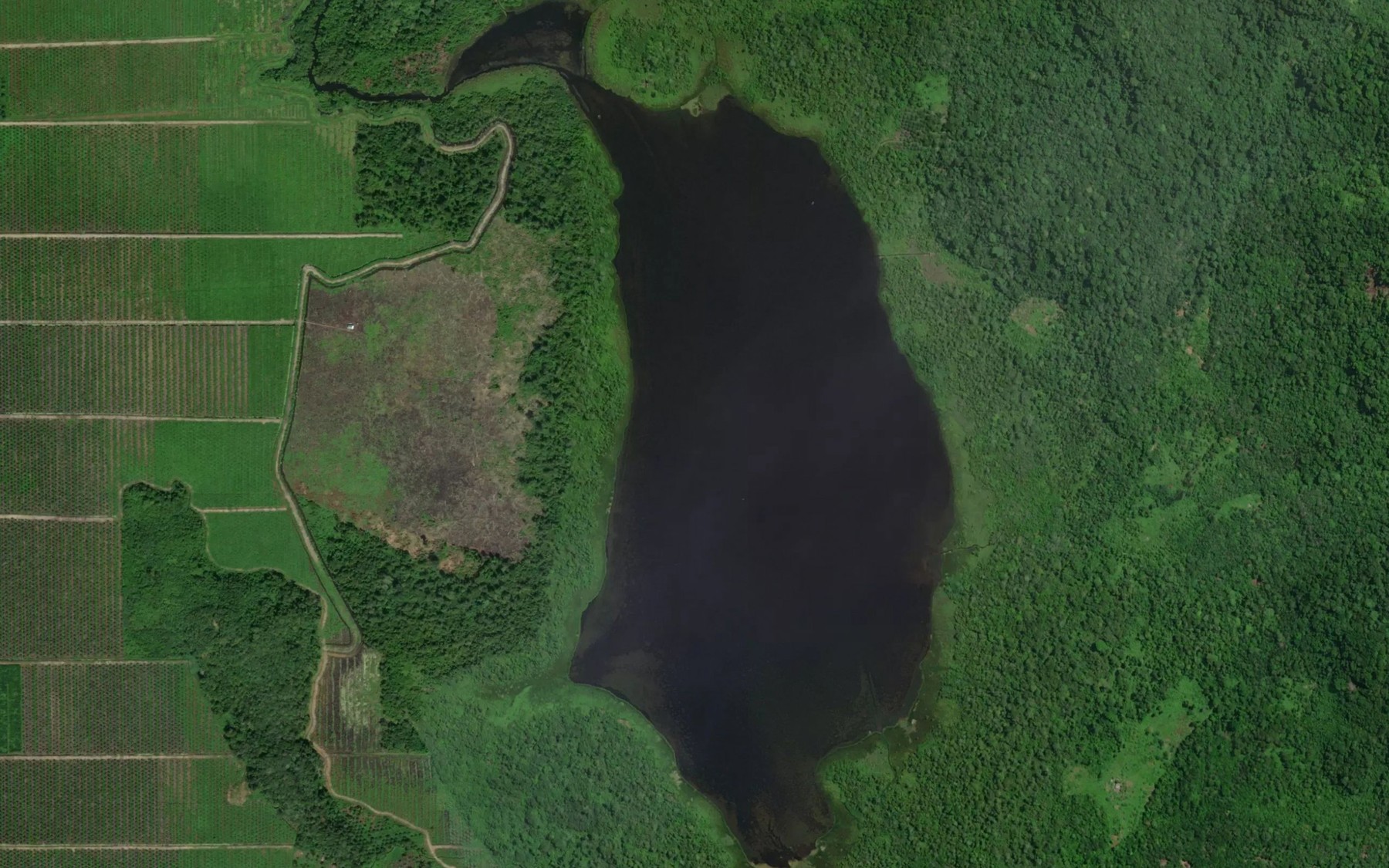 Satellite map of the Danau Pandan