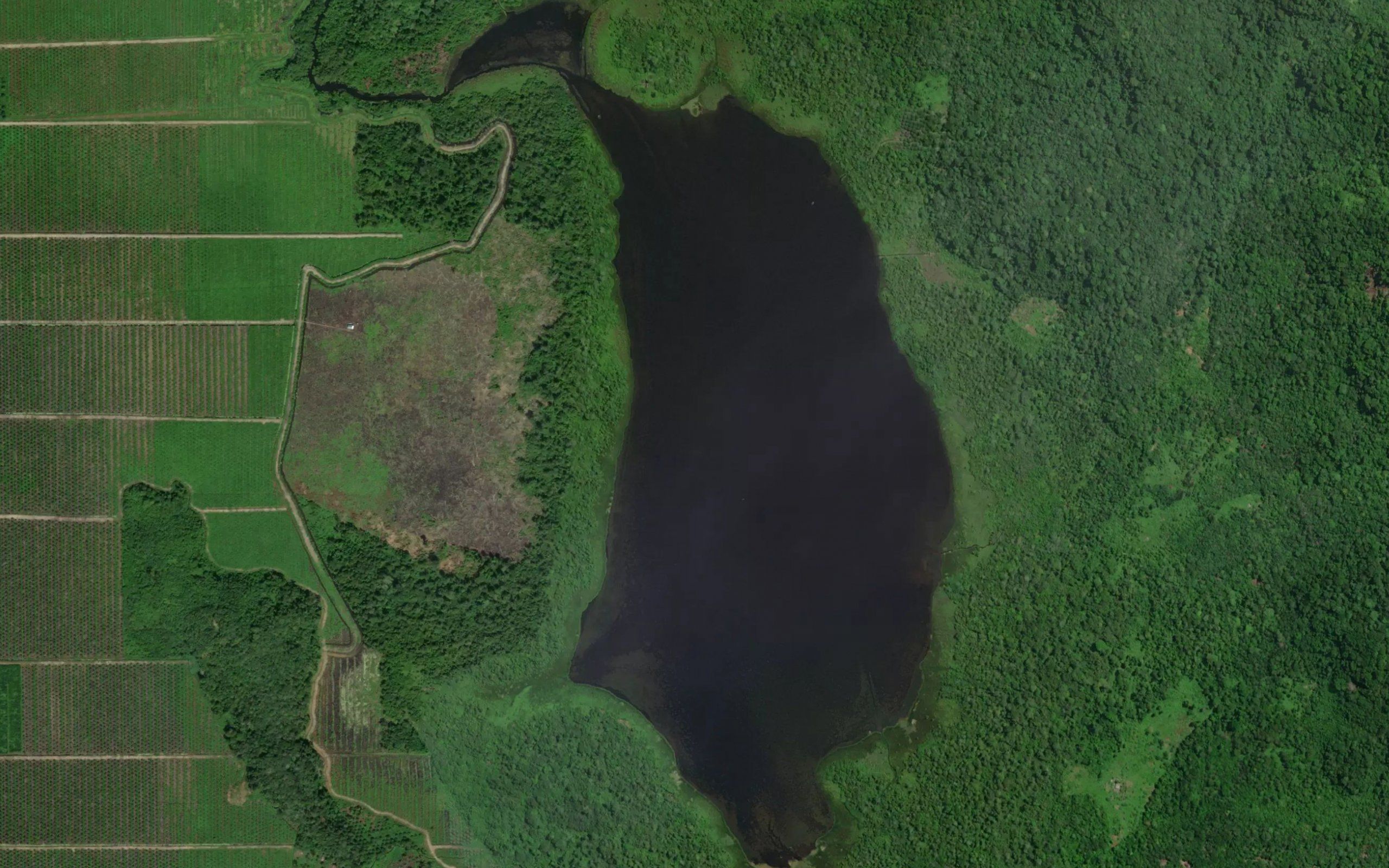 Danau Pandan