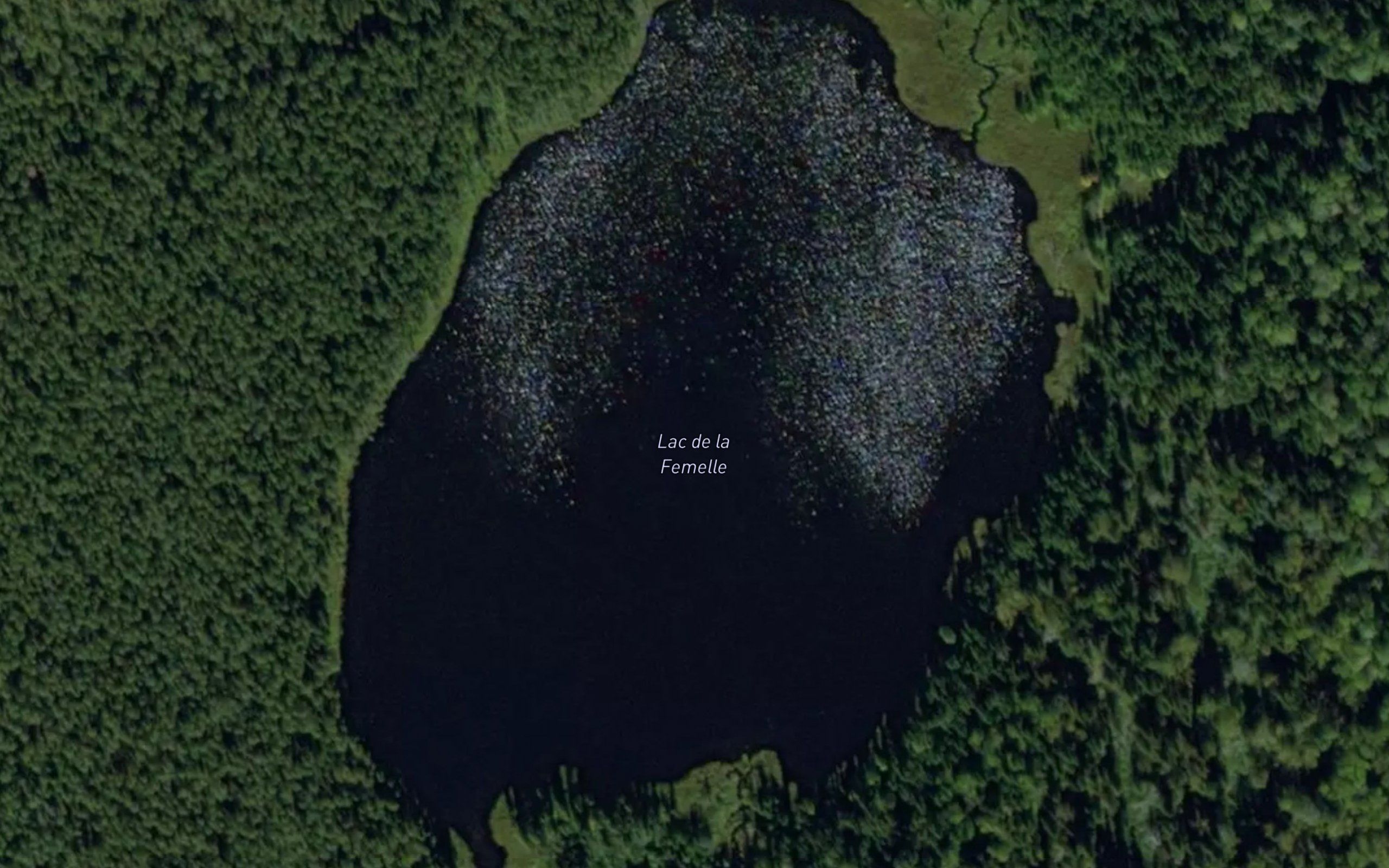 Lac de la Femelle