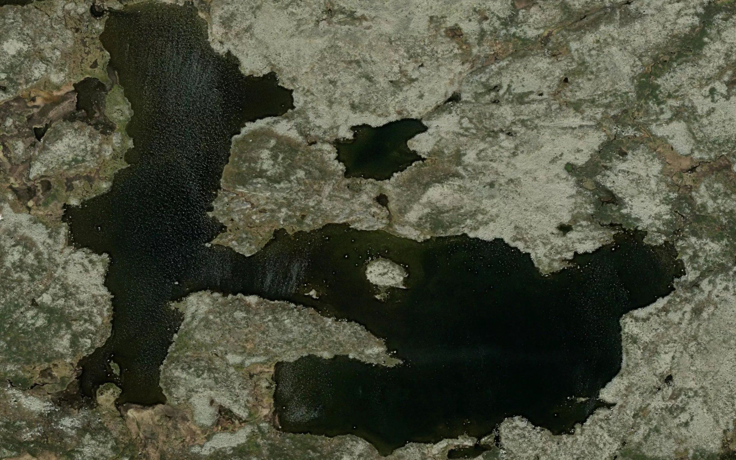 Halstjonn