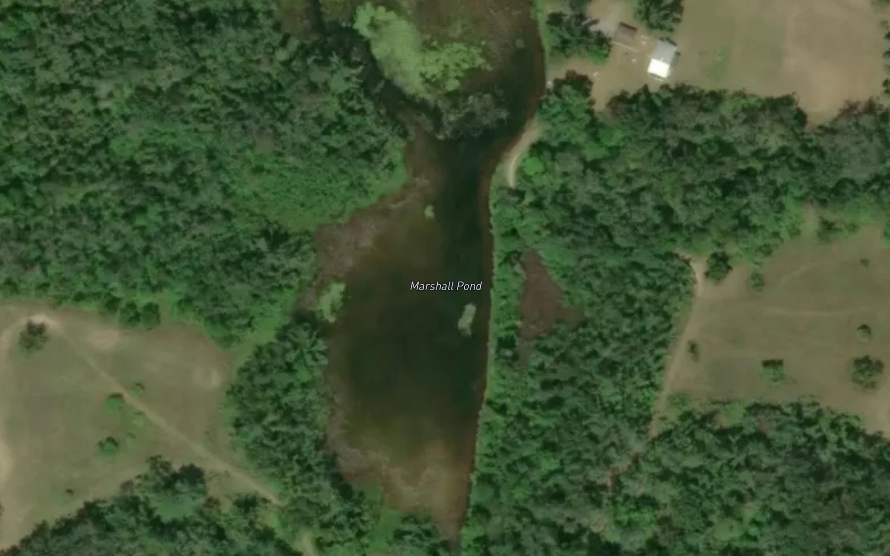 Satellite map of the Marshall Pond
