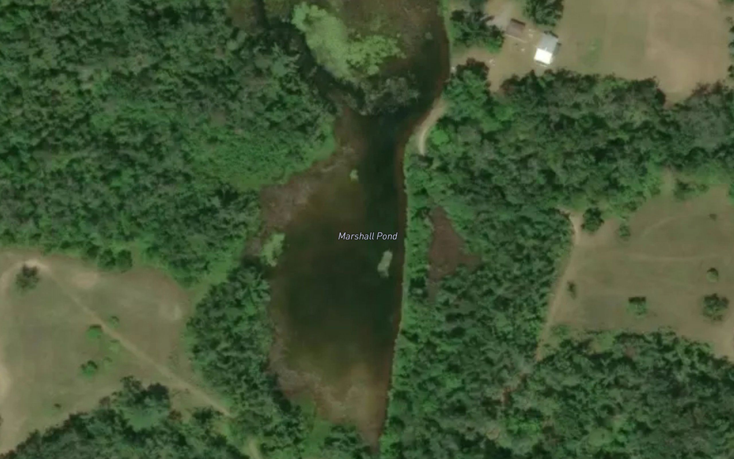 Marshall Pond