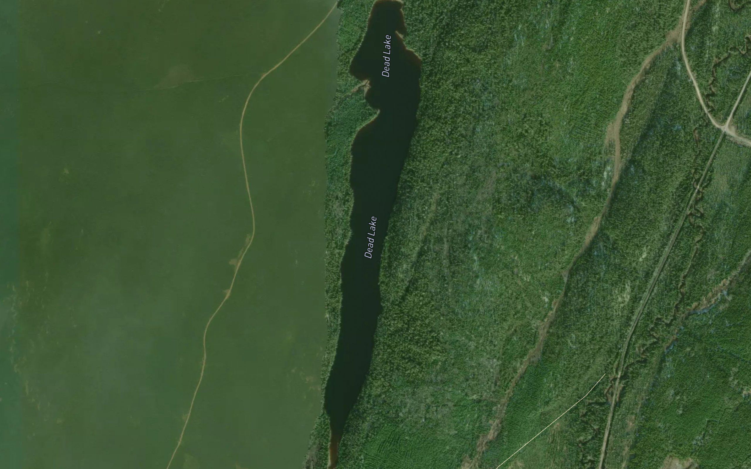 Dead Lake