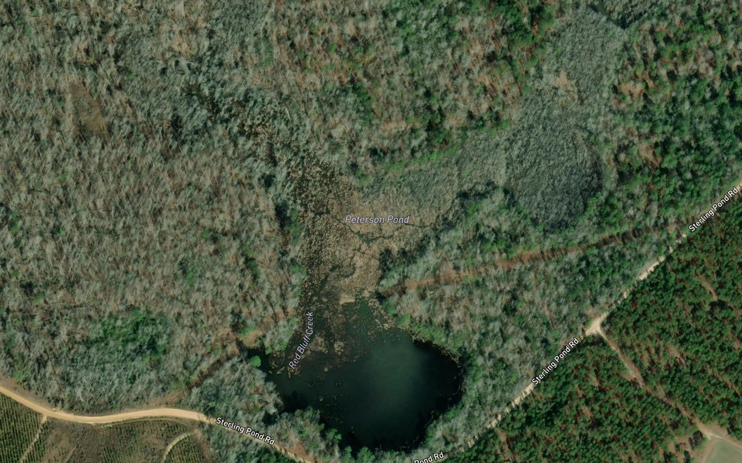 Peterson Pond