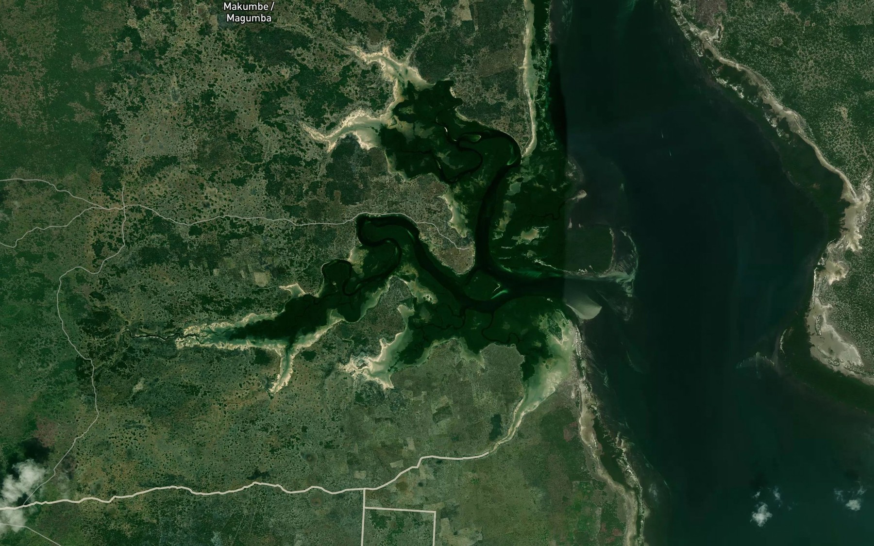 Satellite map of the Mto wa Ngini