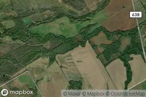 Munger Branch