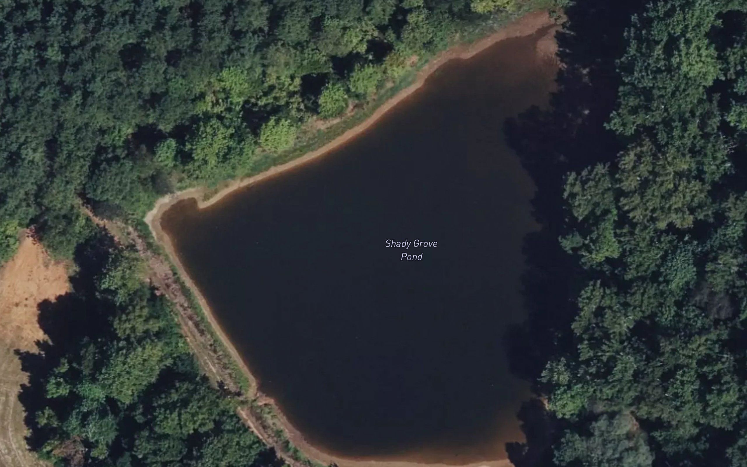 Shady Grove Pond