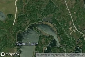 Camel Lake
