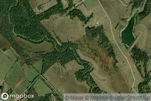 Bee Creek