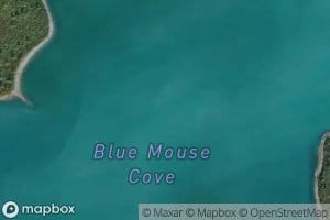 Blue Mouse Cove