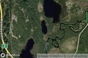Andtjonna