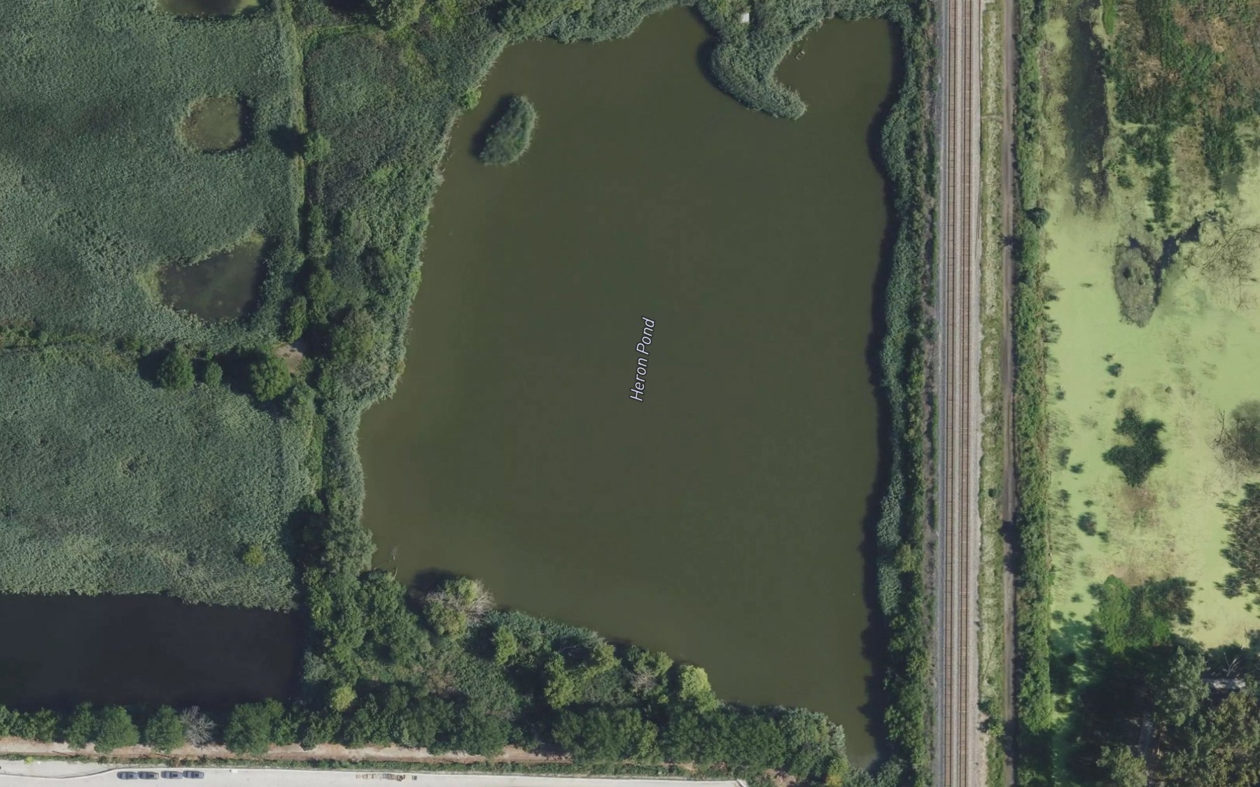 Satellite map of the Gun Club Ponds