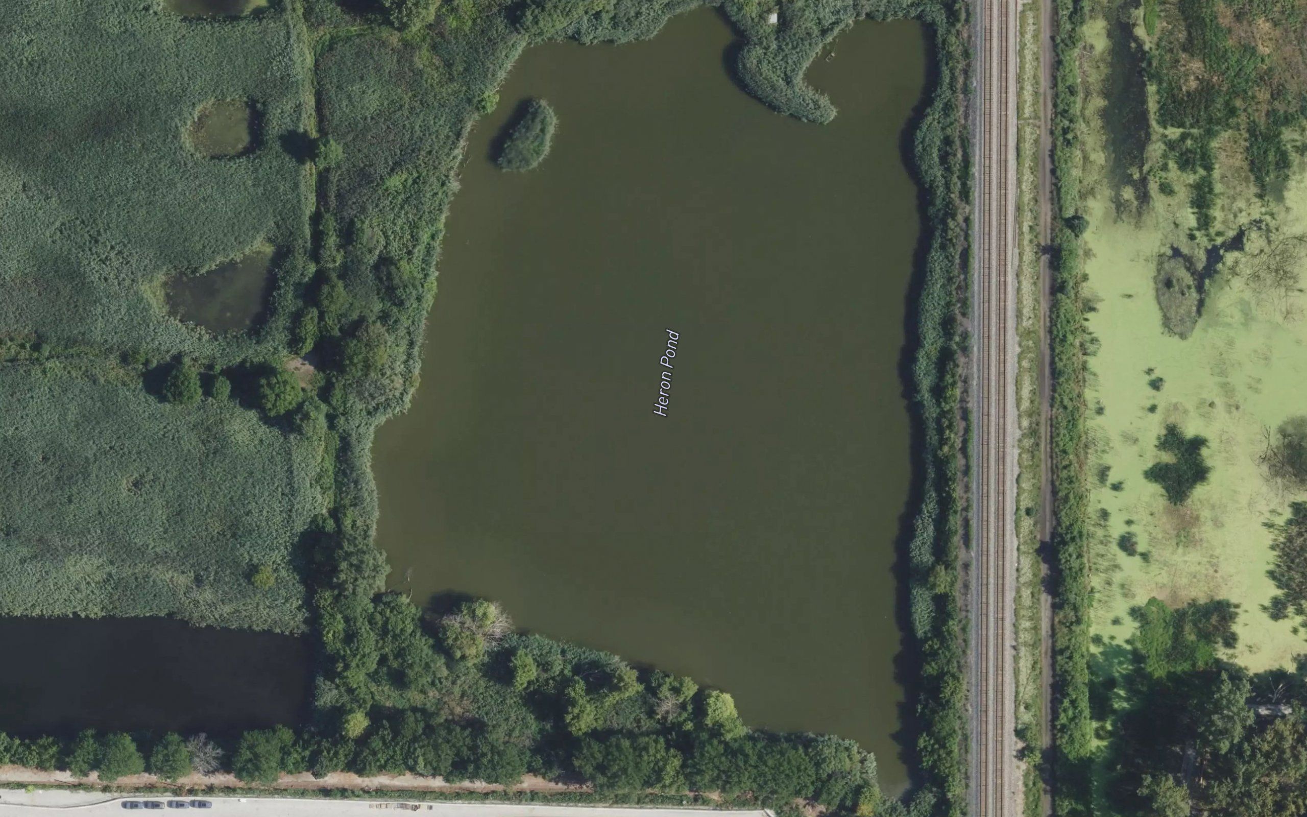 Gun Club Ponds