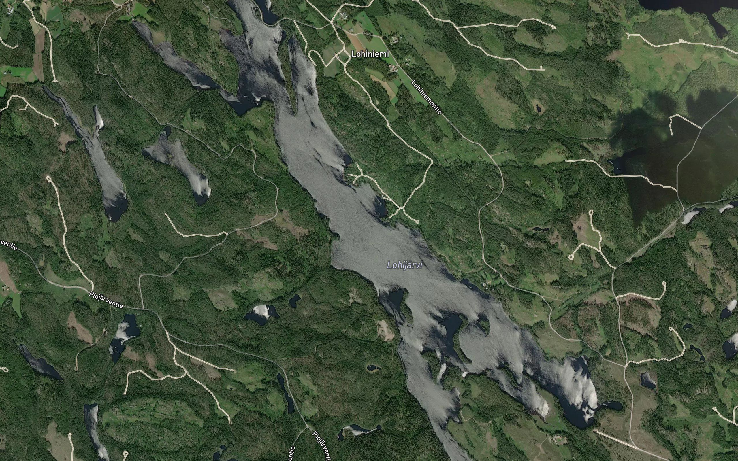 Juurikkaselka