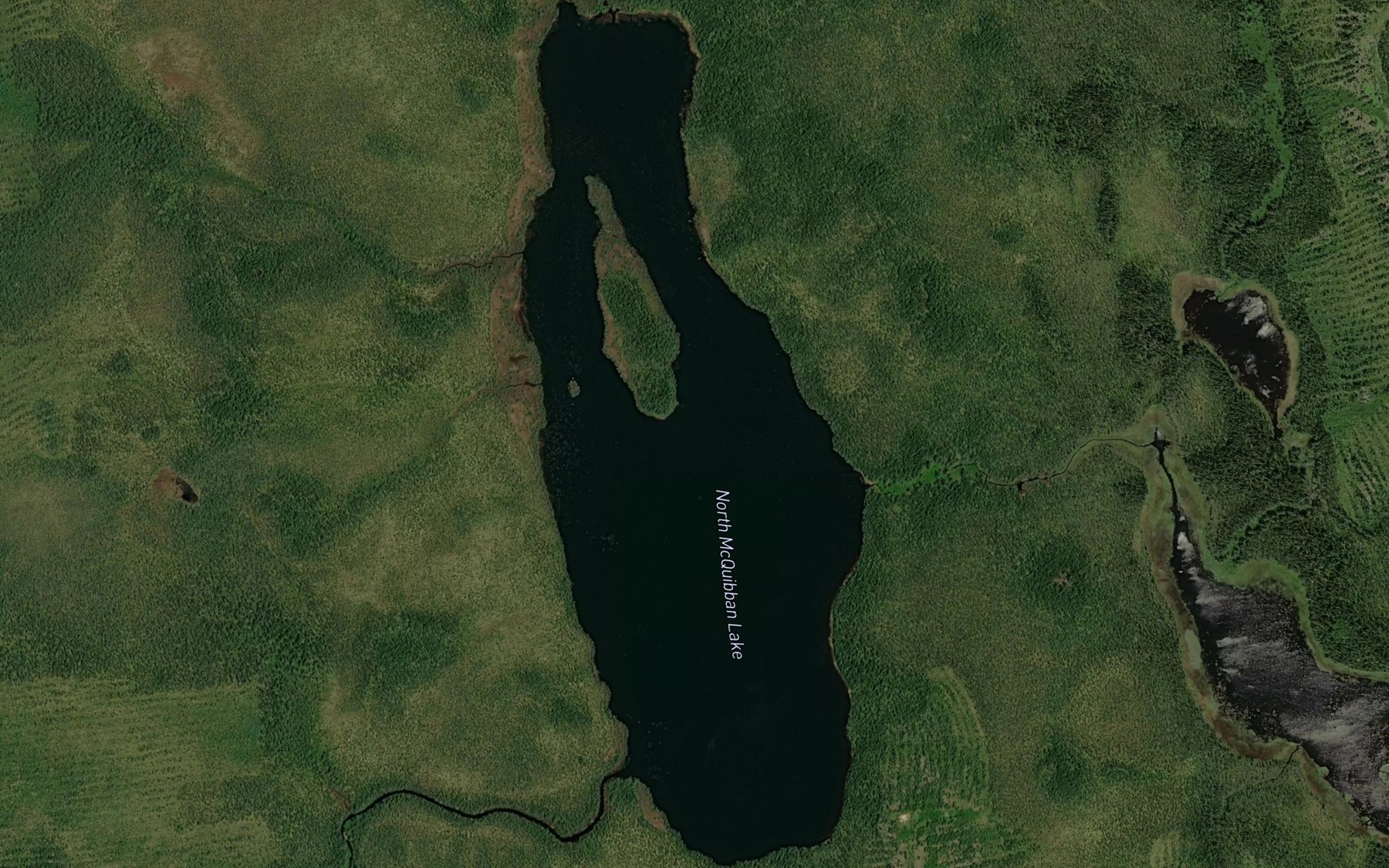 Satellite map of the North McQuibban Lake