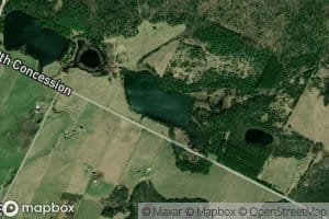 Lac McCord