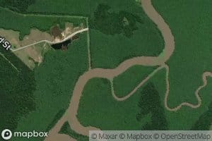 Bayou Queue de Tortue