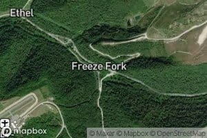 Freeze Fork
