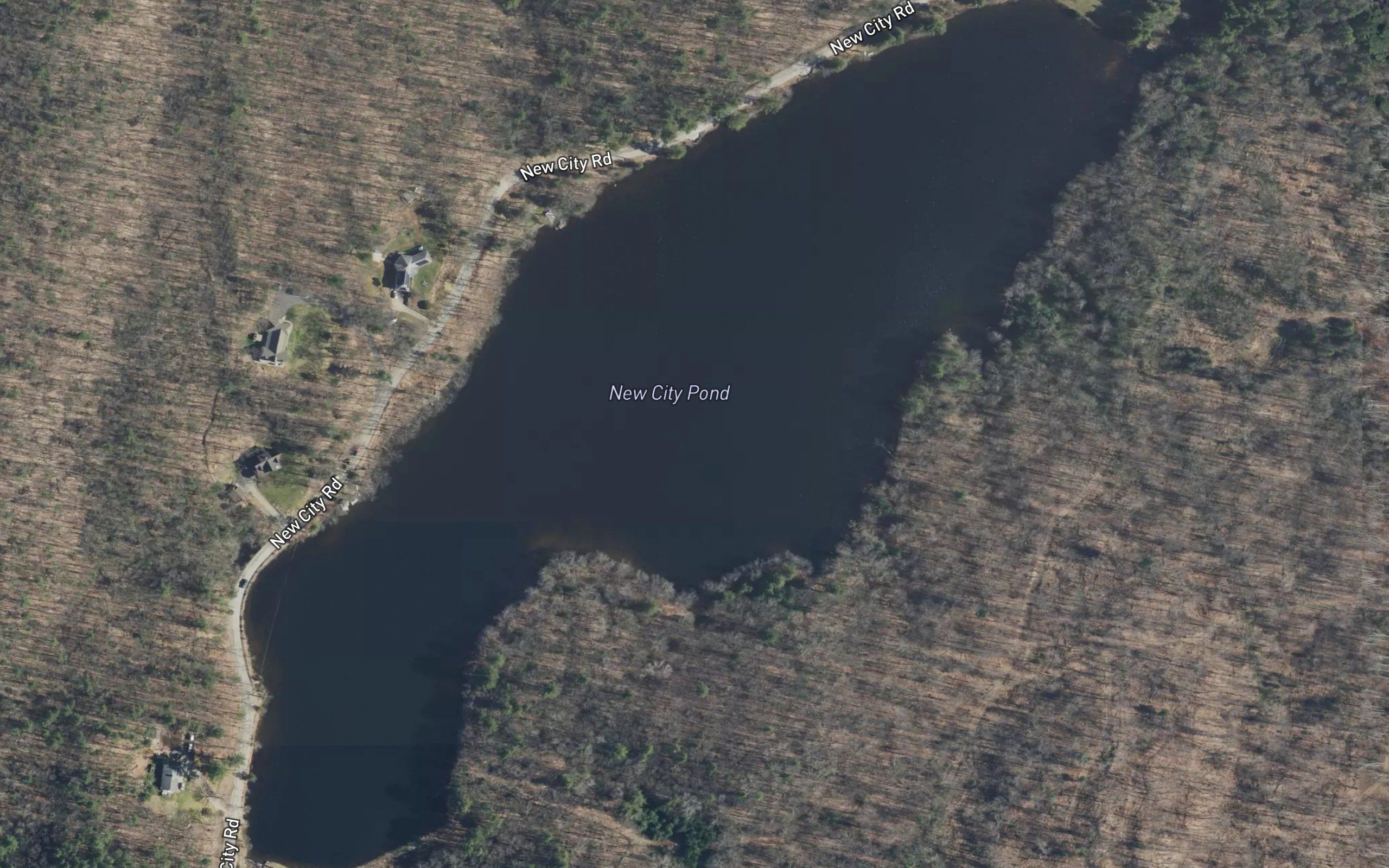New City Pond