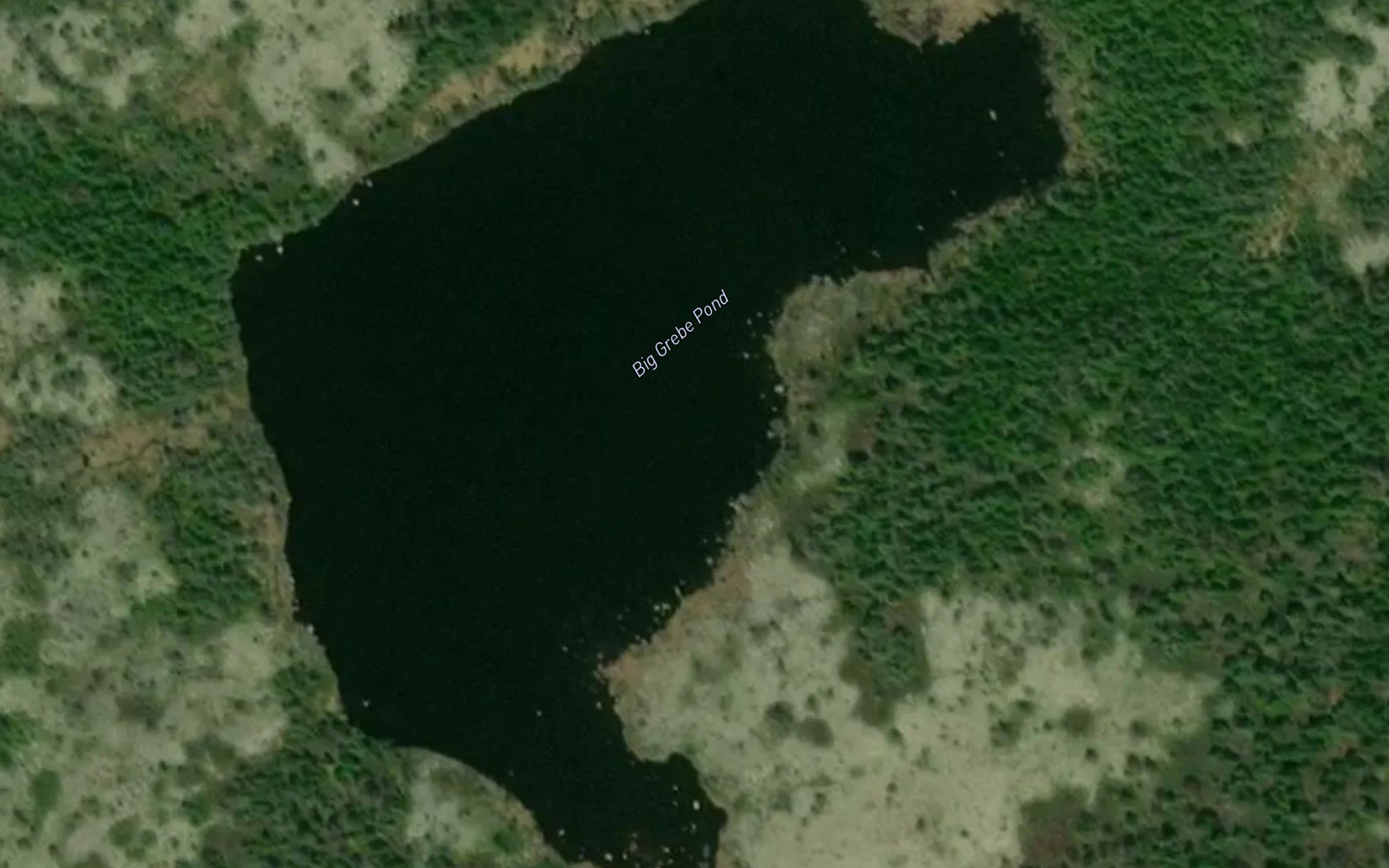 Big Grebe Pond