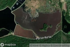 Black Pond