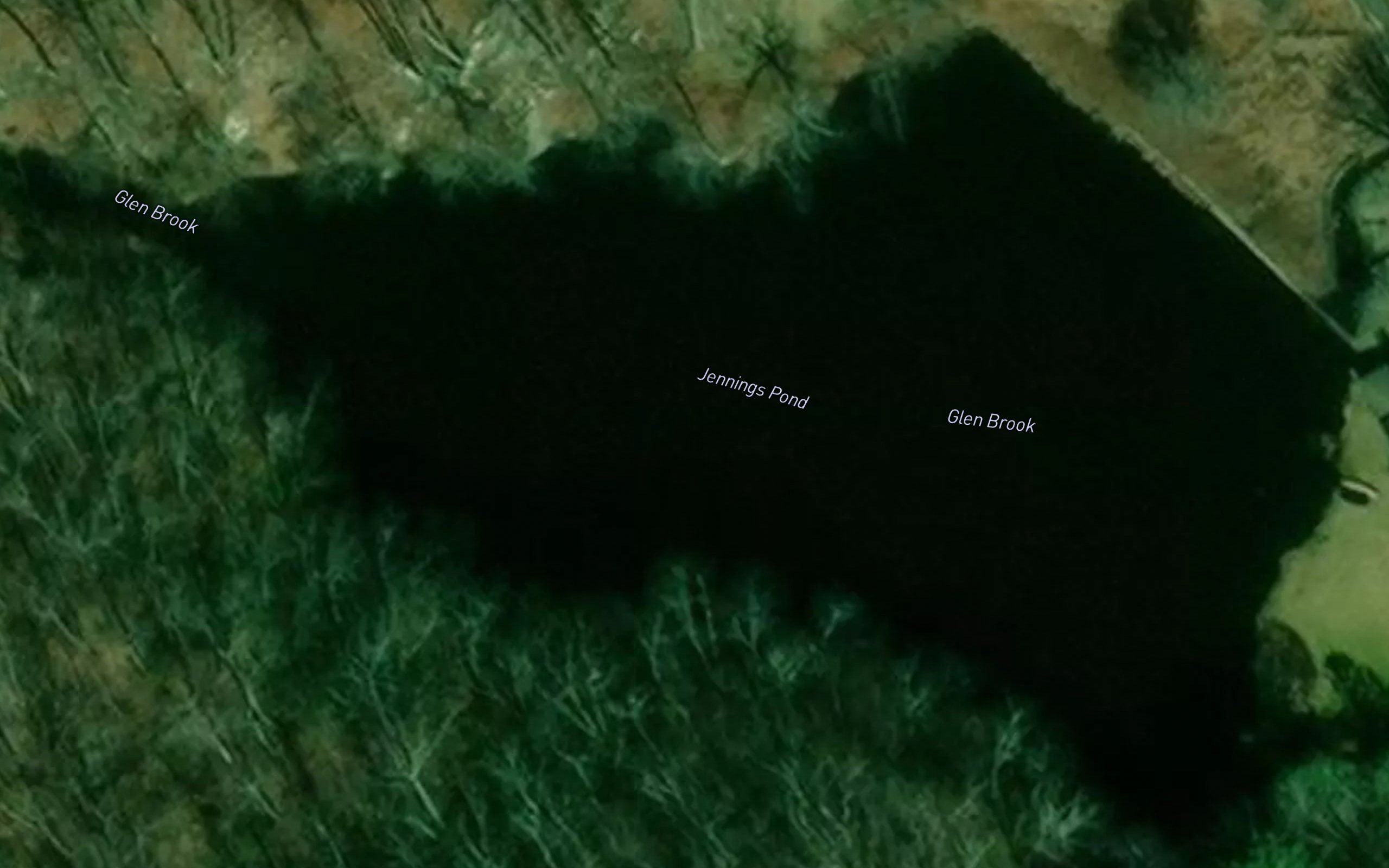 Jennings Pond