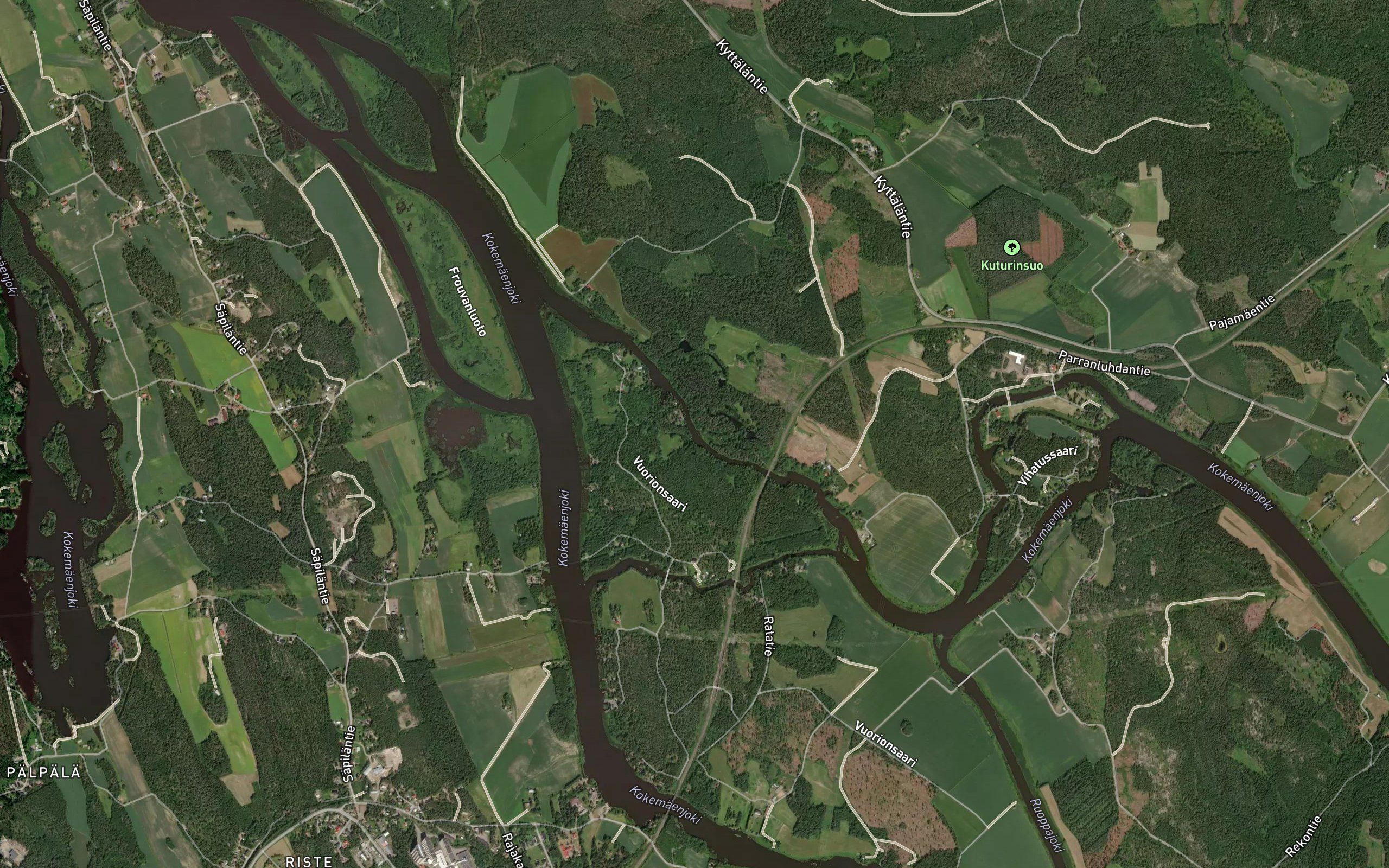 Vuorionhaara