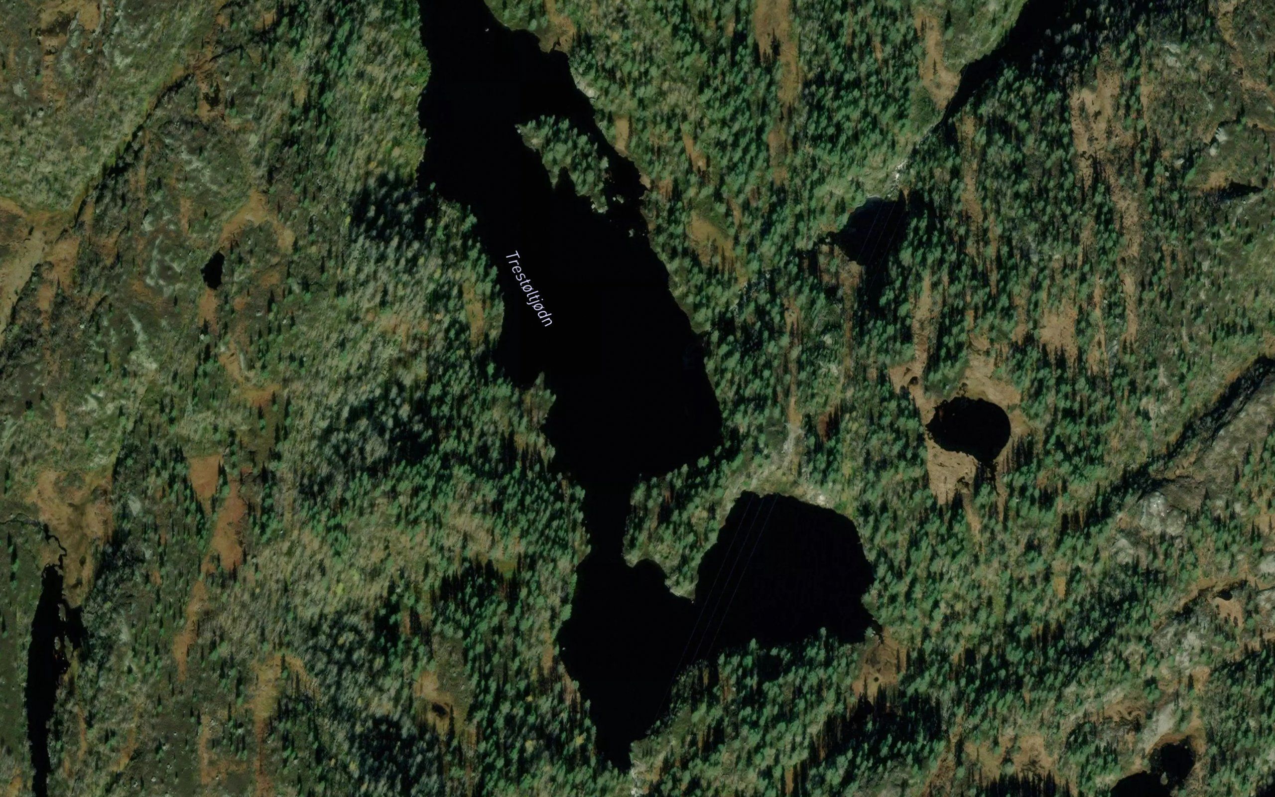 Trestoltjornane