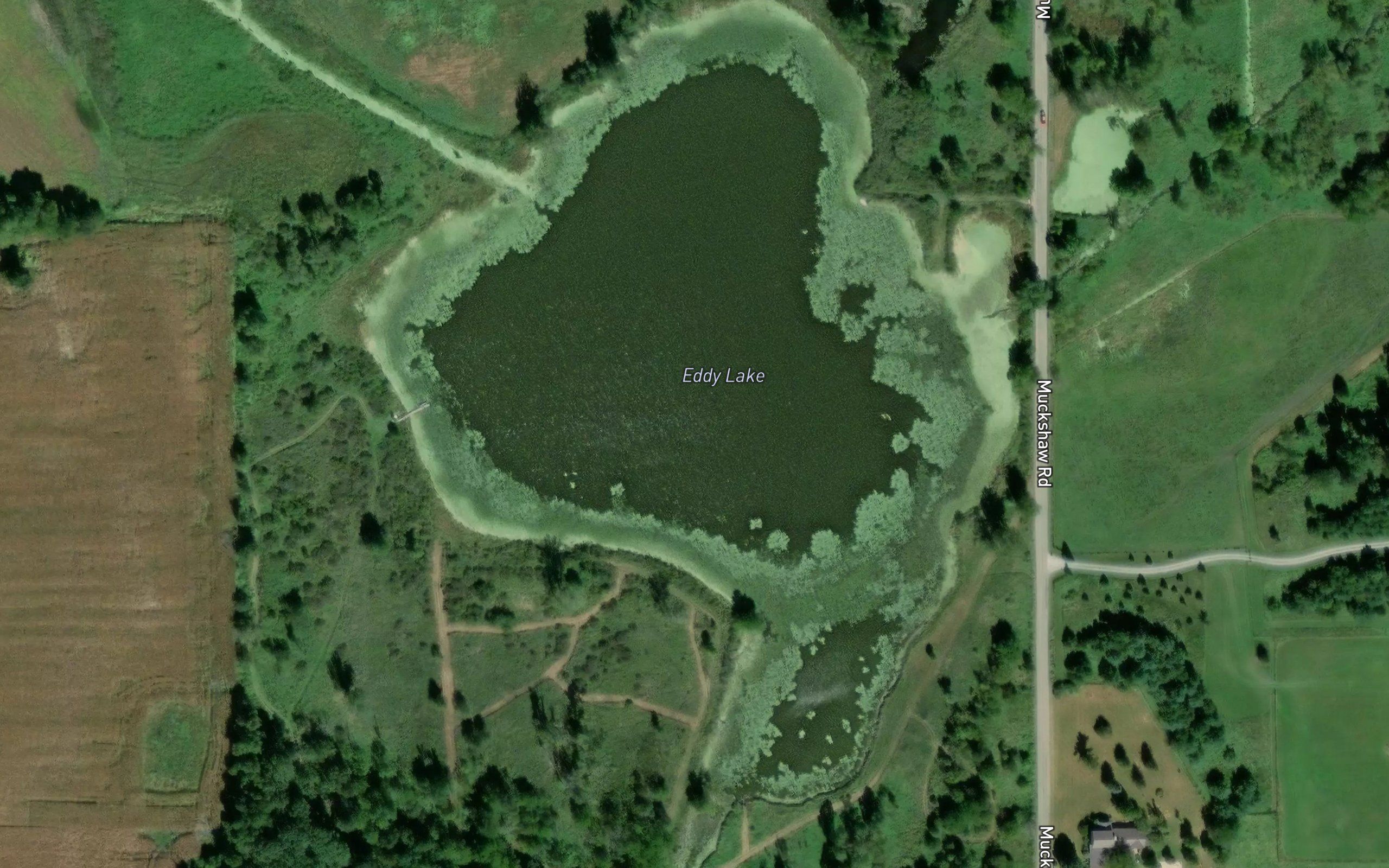 Eddy Lake