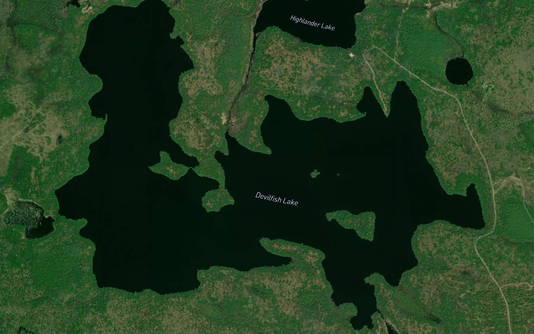 Satellite map of the Devilfish Lake
