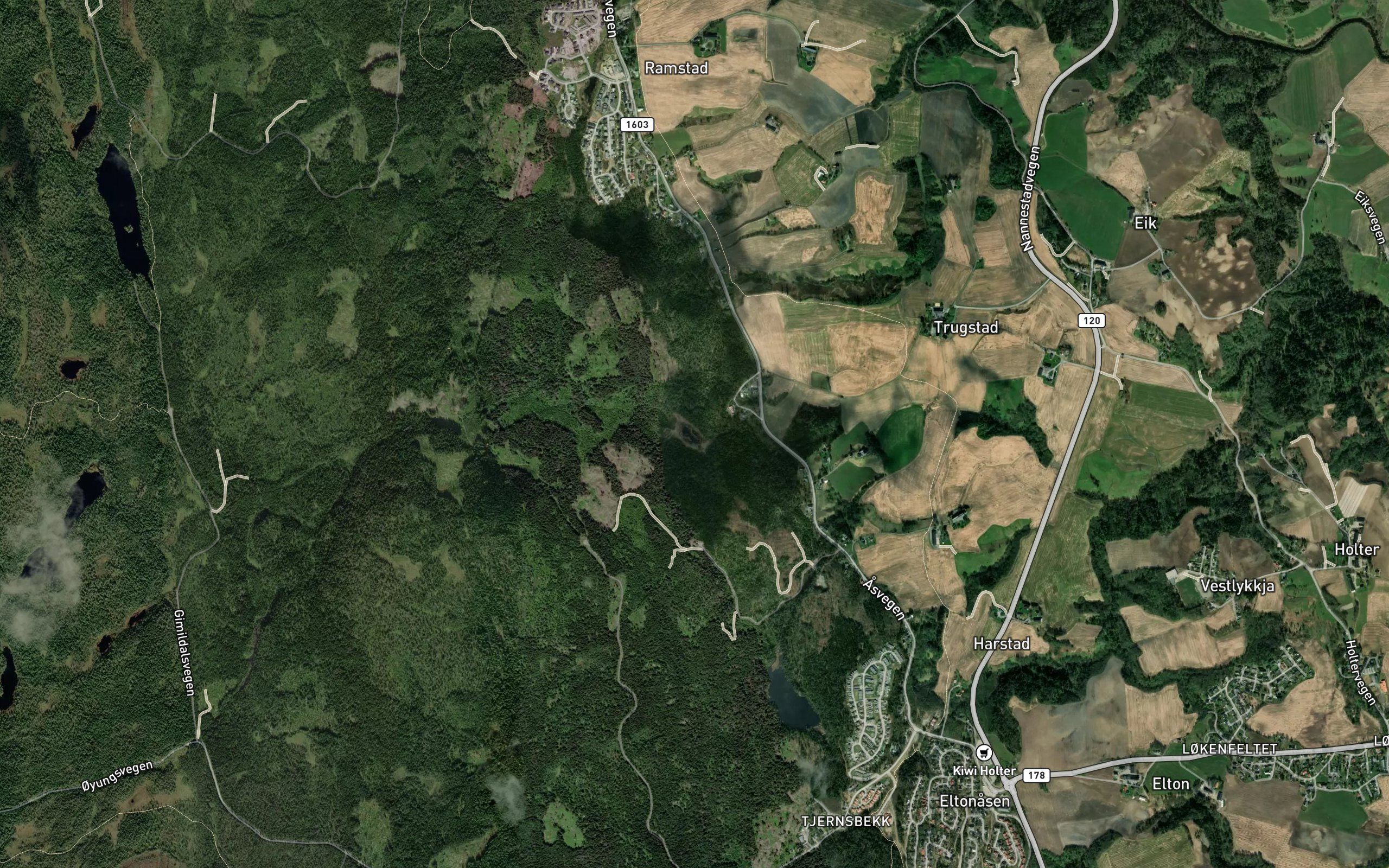 Revtjernet
