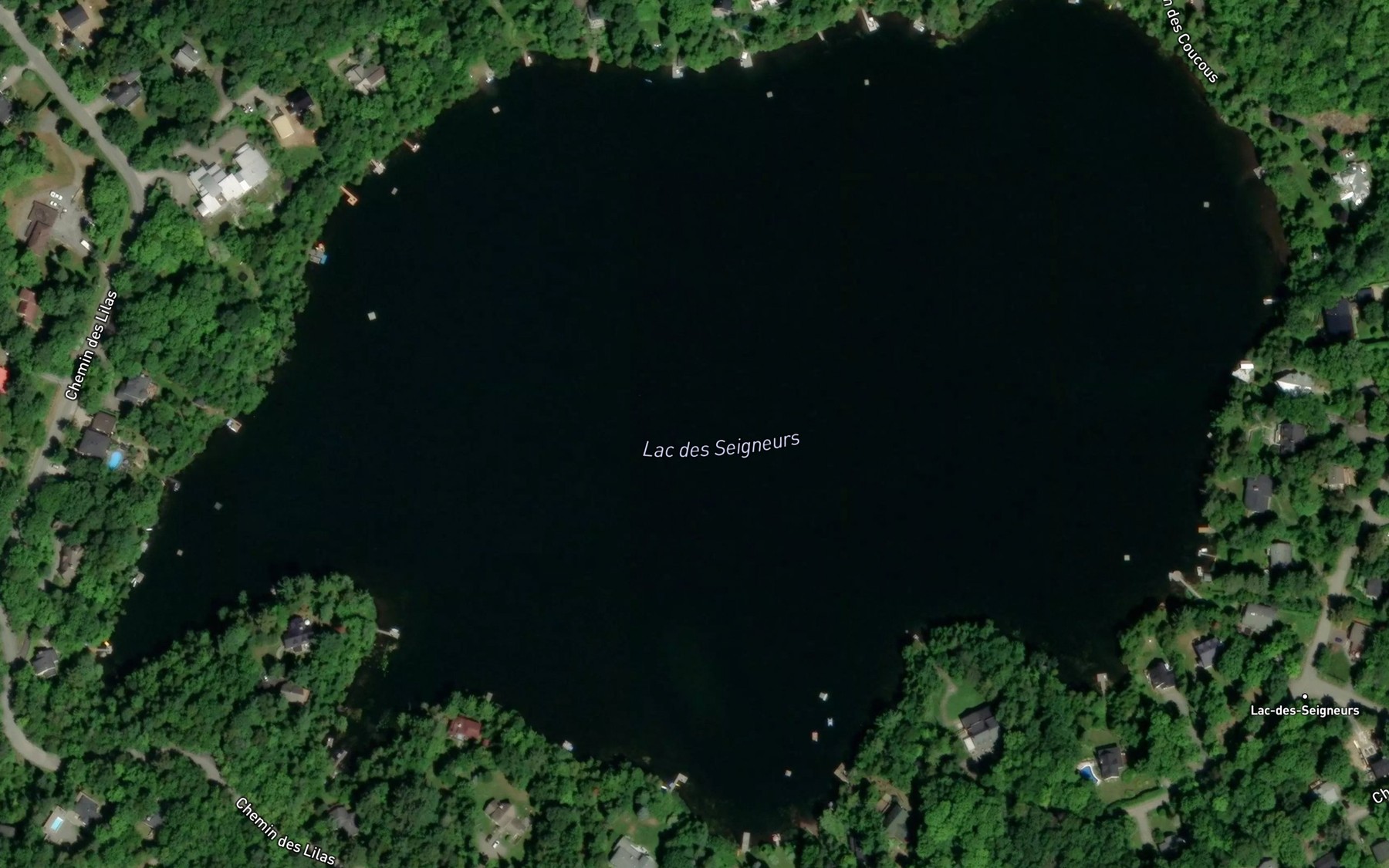 Satellite map of the Lac des Seigneurs