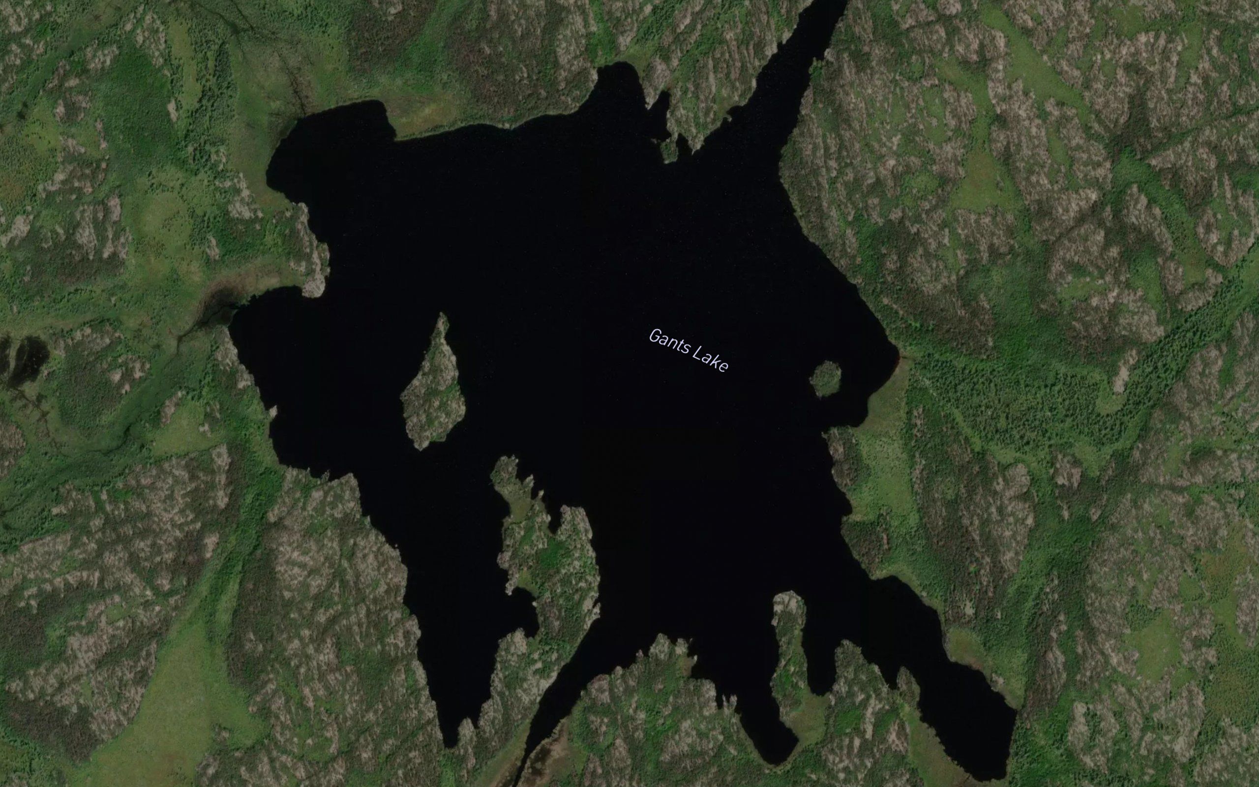 Gants Lake